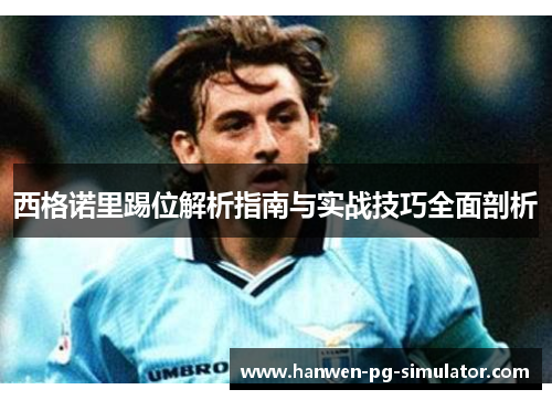 西格诺里踢位解析指南与实战技巧全面剖析 西格诺里踢位解析指南与实战技巧全面剖析