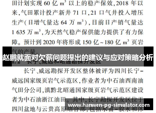 赵鹏就面对欠薪问题提出的建议与应对策略分析 赵鹏就面对欠薪问题提出的建议与应对策略分析